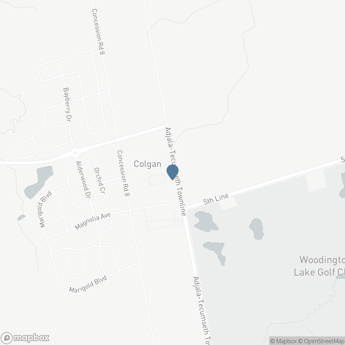 2164 ADJALA TECUMSETH TOWNLINE, New Tecumseth, Ontario L0G 1W0